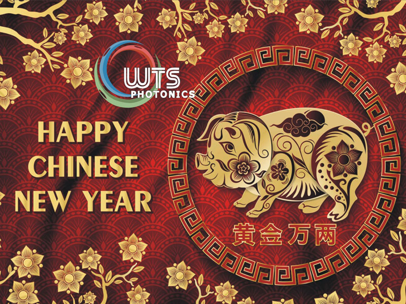 2019猪年新年快乐